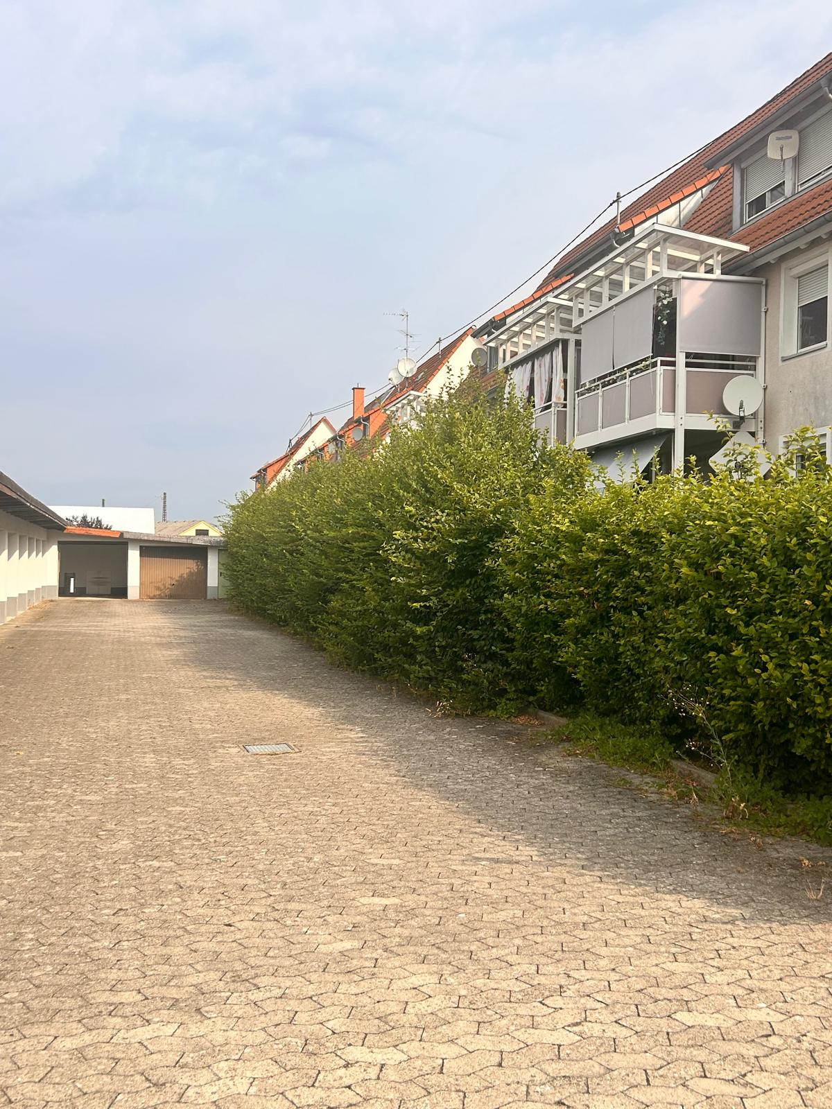 Heckenschnitt – vorher